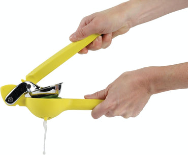 citrus juicer