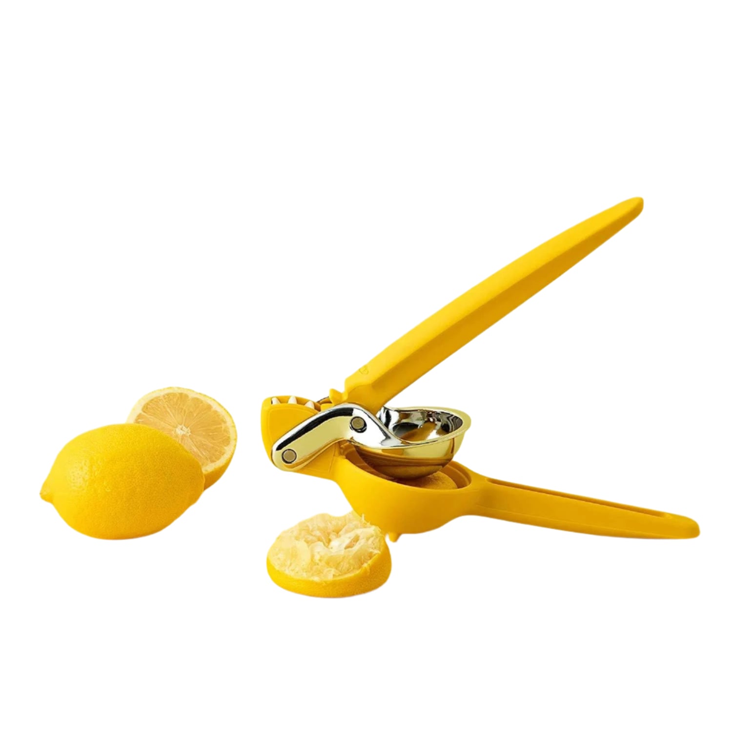 Citrus Juicer